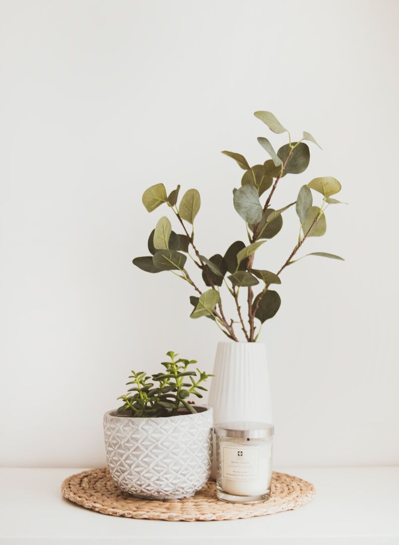 Plants and a candle in white vases on a woven mat